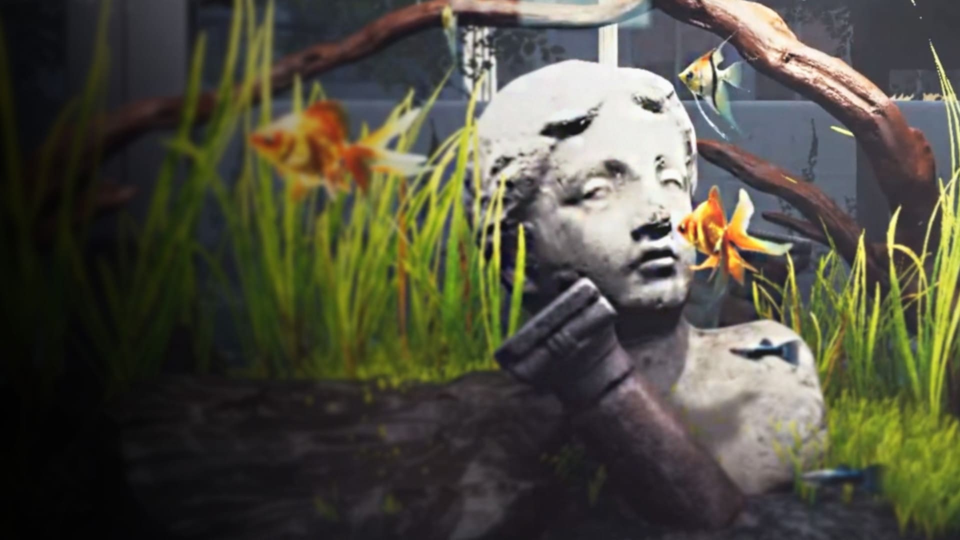 Aquarist (PS4) Review